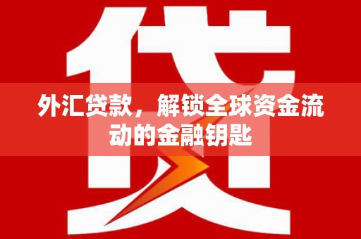 美浓外汇贷款，解锁全球资金流动的金融钥匙
