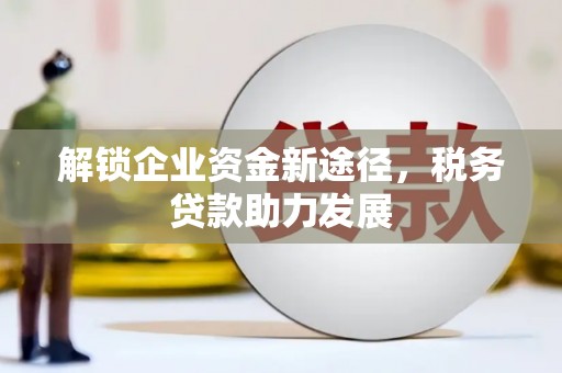 平果解锁企业资金新途径，税务贷款助力发展