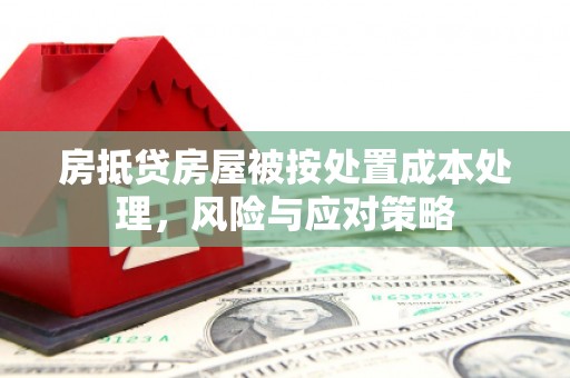 乌达房抵贷房屋被按处置成本处理，风险与应对策略