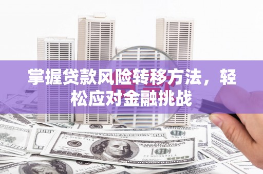 宿松掌握贷款风险转移方法，轻松应对金融挑战